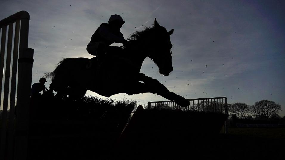 Horse jumping hurdle silhouette